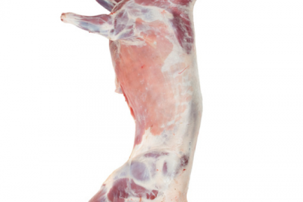 Buy Halal Fresh Frozen Goat meat carcass online